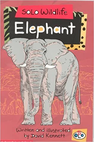 David Kennett Elephant تكوين تحميل مجانا David Kennett تكوين