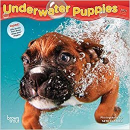 Underwater Puppies 2021 Calendar indir