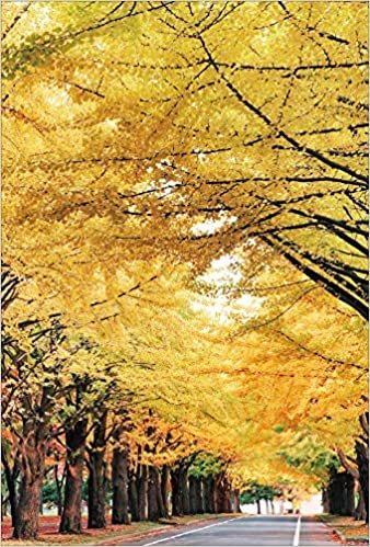 【Amazon.co.jp 限定】黄葉の北海道大学銀杏並木 ポストカード3枚セット P3-084 ダウンロード