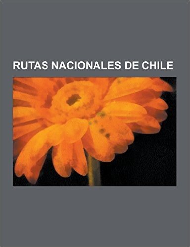 Rutas Nacionales de Chile: Ruta 5, Carretera Austral, Ruta 11-Ch, Carreteras de Chile, Avenida Circunvalacion Americo Vespucio, Ruta Ch-73, Ruta