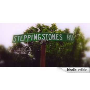 Stepping Stones, a novel (English Edition) [Kindle-editie]
