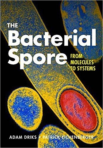 The Bacterial Spore: From Molecules to Systems