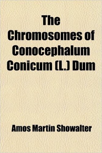 The Chromosomes of Conocephalum Conicum (L.) Dum