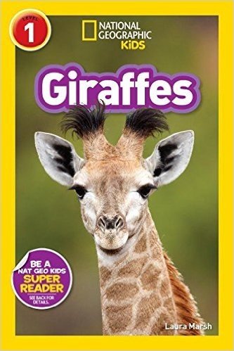 Giraffes baixar