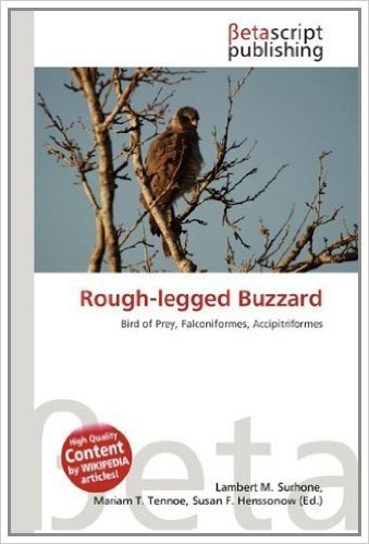 Rough-Legged Buzzard