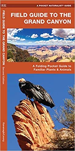 indir Field Guide to the Grand Canyon: A Folding Pocket Guide to Familiar Plants and Animals (A Pocket Naturalist Guide)