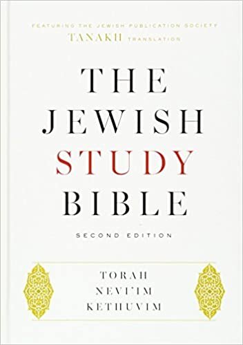 indir The Jewish Study Bible