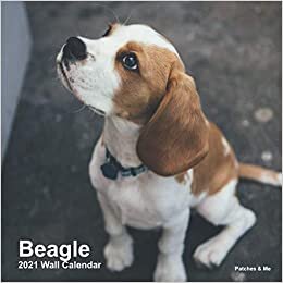 indir Beagle: 2021 Mini Wall Calendar: Collection of the cutest photos to melt your heart (Furry Dog Friends)