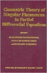Geometric Theory of Singular Phenomena in Partial Differential Equations baixar