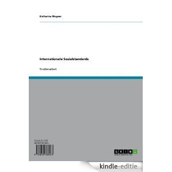 Internationale Sozialstandards [Kindle-editie]