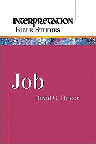 Job (Interpretation Bible Studies)