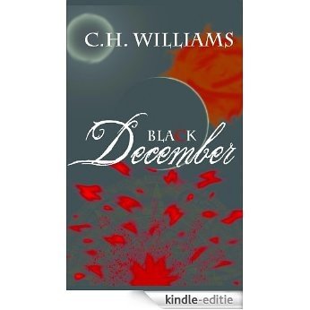 Black December (English Edition) [Kindle-editie] beoordelingen