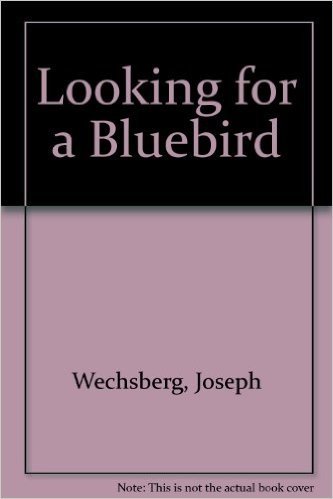Looking for a Bluebird