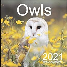 indir Owls 2021 Wall Calendar: Mini Wall Calendar Owl Photography 12 Month Calendar Planner