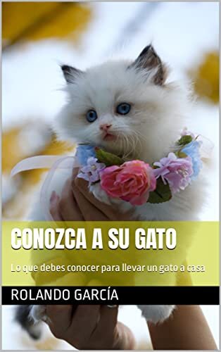 Conozca a su Gato: Lo que debes conocer para llevar un gato a casa (Spanish Edition)