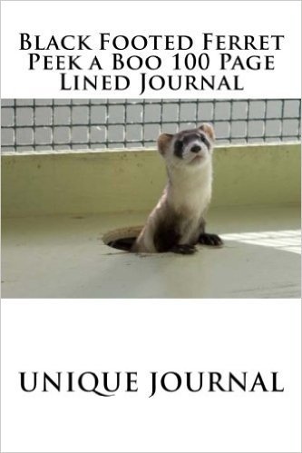 Black Footed Ferret Peek a Boo 100 Page Lined Journal: Blank 100 Page Lined Journal for Your Thoughts, Ideas, and Inspiration