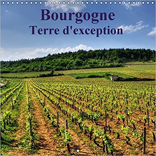 Bourgogne Terre d'exception 2017: La Bourgogne Magnifique Region aux Vignobles Reputes (Calvendo Art)