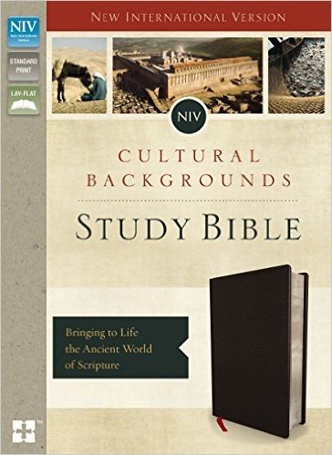NIV, Cultural Backgrounds Study Bible, Indexed, Bonded Leather: Bringing to Life the Ancient World of Scripture baixar