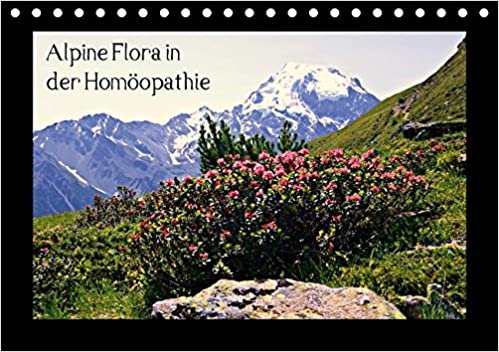Alpine Flora in der Homöopathie (Tischkalender 2017 DIN A5 quer): Die Flora der Hochalpen unter dem Aspekt der Homöopathie (Monatskalender, 14 Seiten ) (CALVENDO Natur)