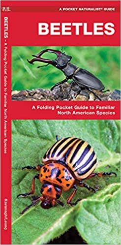 indir Beetles: A Folding Pocket Guide to Familiar North American Species (A Pocket Naturalist Guide)