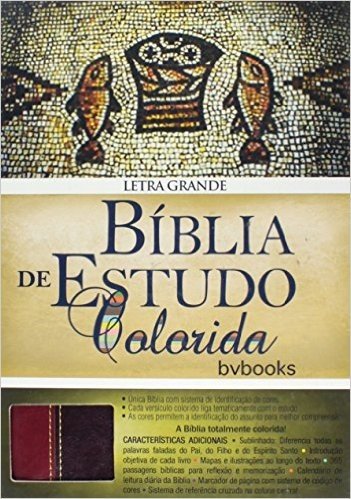 Bíblia de Estudo Colorida - Ruby/ Vinho
