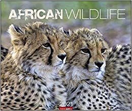African Wildlife Kalender 2021