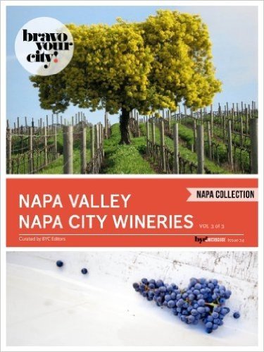 Napa Valley Napa City Wineries Vol 3 (Bravo Your City! Book 24) (English Edition)