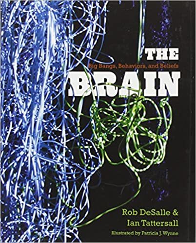 The Brain: Big Bangs, Behaviors, and Beliefs