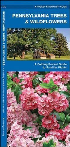 Pennsylvania Trees & Wildflowers: An Introduction to Familiar Species