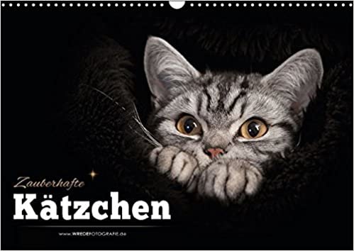 Zauberhafte Kätzchen (Wandkalender 2016 DIN A3 quer): Kalender "Zauberhafte Kätzchen" (Monatskalender, 14 Seiten) (CALVENDO Tiere)