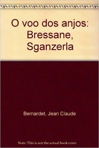 O Voo Dos Anjos: Bressane, Sganzerla (Portuguese Edition)
