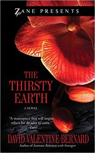 The Thirsty Earth: A Novel