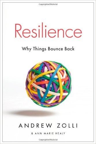 Resilience: Why Things Bounce Back baixar