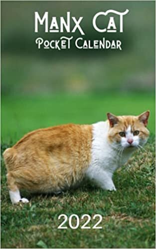 indir Manx Cat Pocket Calendar 2022: Mini Journal Diary with Daily Weekly with At a Glance Monthly Yearly Grids, Brain , Monthly Budget, Contacts and Password