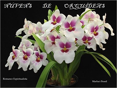 Núvens de Orquídeas baixar