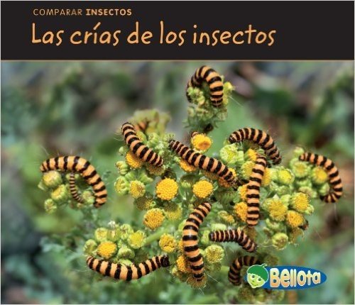 Las Crias de los Insectos = Bug Babies