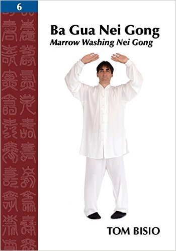 Ba Gua Nei Gong, Volume 6: Marrow Washing Nei Gong baixar