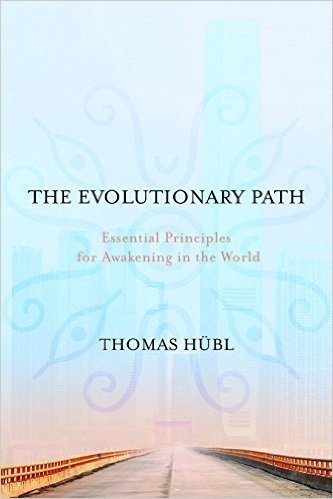 The Evolutionary Path: Essential Principles for Awakening in the World