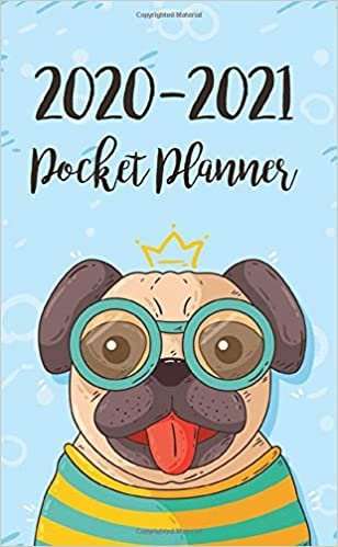 2020-2021 Pocket Planner: Two year Monthly Calendar Planner | January 2020 - December 2021 For To do list Planners And Academic Agenda Schedule ... Organizer, Agenda and Calendar, Band 20)