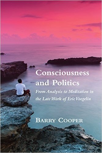 Consciousness and Politics: From Analysis to Meditation in the Late Work of Eric Voegelin baixar