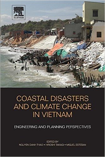 Coastal Disasters and Climate Change in Vietnam: Engineering and Planning Perspectives baixar