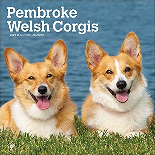 Pembroke Welsh Corgis 2021 - 18-Monatskalender mit freier DogDays-App: Original BrownTrout-Kalender [Mehrsprachig] [Kalender]