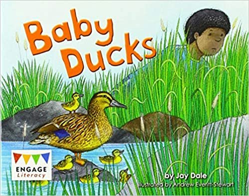 Dale, J: Baby Ducks (Engage Literacy Red)