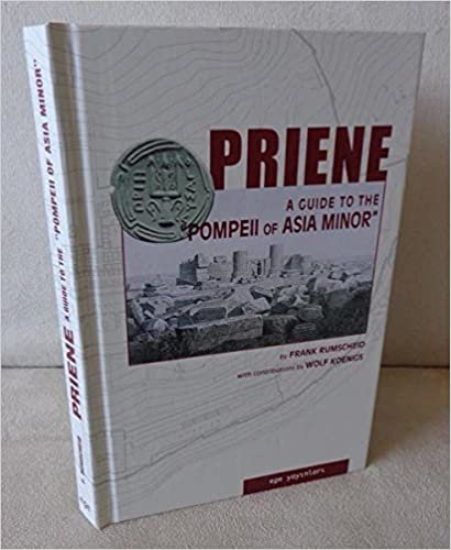 the complete pompeii pdf