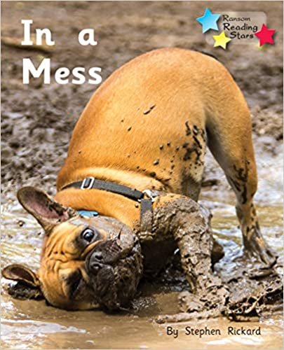 In a Mess (Reading Stars Phonics)