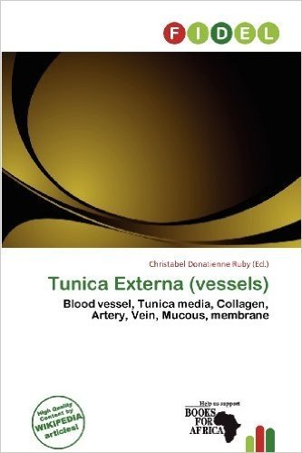 Tunica Externa (Vessels)