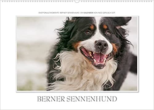 indir Emotionale Momente: Berner Sennenhund. (Wandkalender 2022 DIN A2 quer): Ingo Gerlach GDT hat wunderschöne Bilder des Berner Sennenhundes gemacht. Mehr ... (Monatskalender, 14 Seiten ) (CALVENDO Tiere)