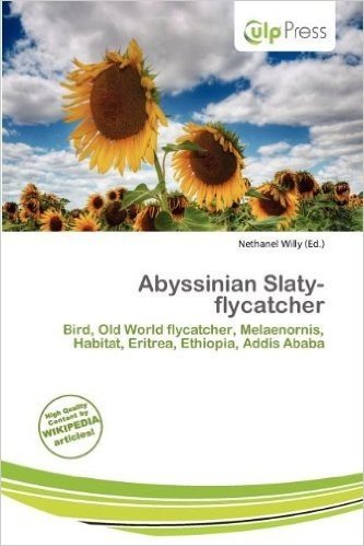 Abyssinian Slaty-Flycatcher