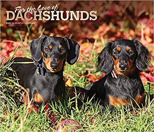 Dachshunds – For the love of 2021 – Dackel – 16-Monatskalender mit freier DogDays-App: Original BrownTrout-Kalender - Deluxe [Mehrsprachig] [Kalender] (Deluxe-Kalender)