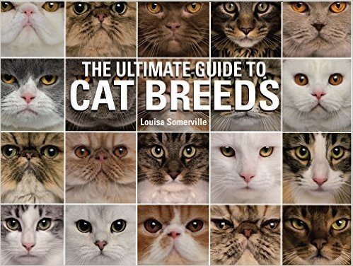 Ultimate Guide to Cat Breeds: A Useful Means of Identifying the Cat Breeds of the World and How to Care for Them